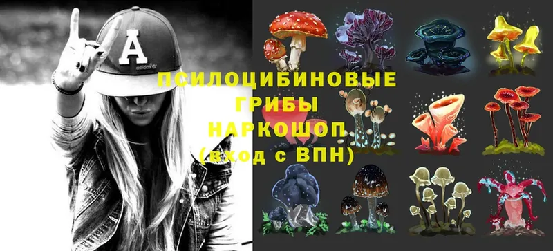 Галлюциногенные грибы Magic Shrooms  Абаза 